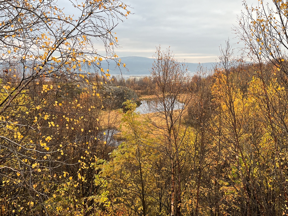    Ноябрьский сюрприз: жителей Центральной России ожидает необычно тёплая погода - детальный прогноз на последний месяц осени