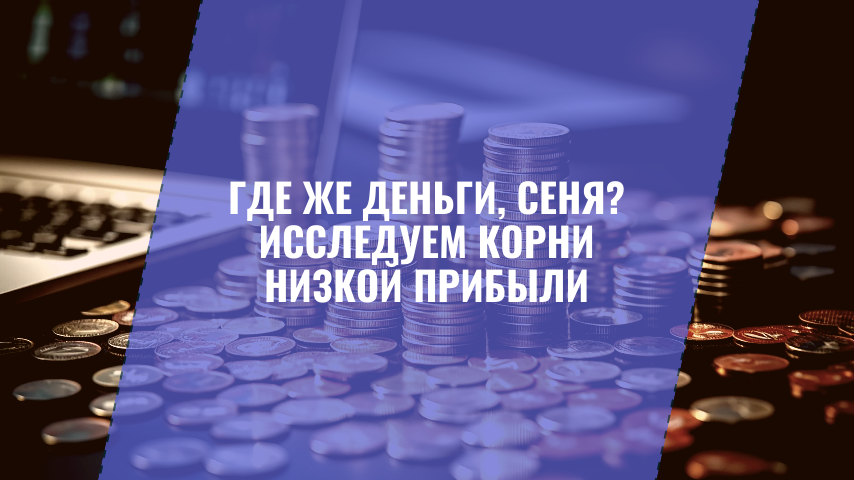 Где же деньги, Сеня? Исследуем корни низкой прибыли