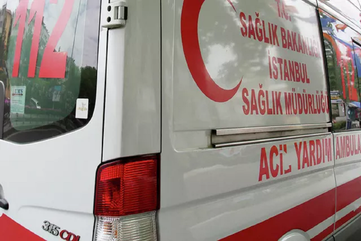    Фото: Victoria Viatris, источник: РИА Новости