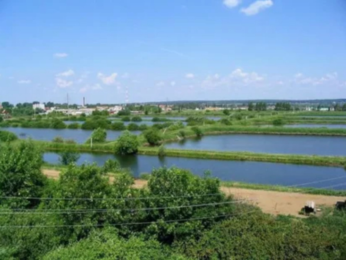 Серебряные Пруды сегодня