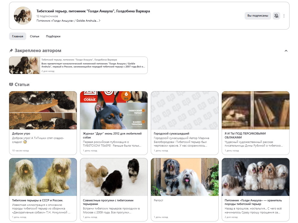 Скриншот главной страницы канала питомника "Голди Аншула" на Дзене