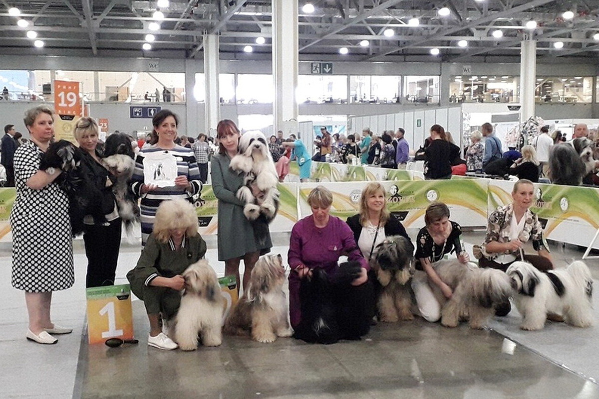 Групповой снимок с выставки "Мемориал А.П.Мазовера", Москва, 2019 год. Фото из личного архива