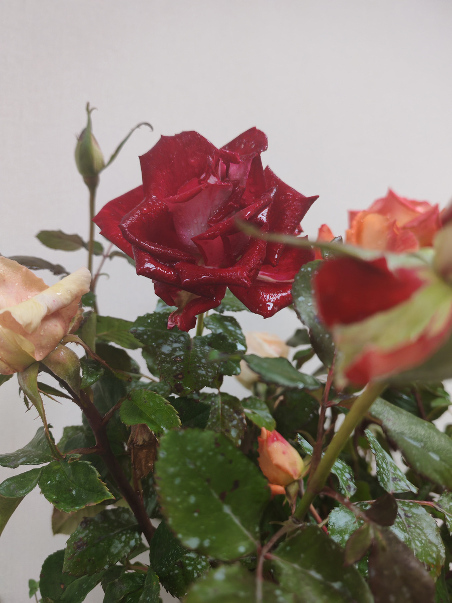 Фото автора 