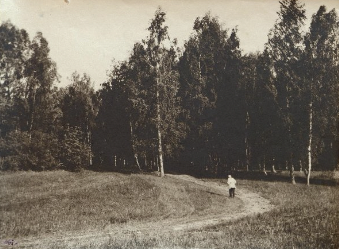 Лев Николаевич Толстой на прогулке летом у березовой рощи, 1908
