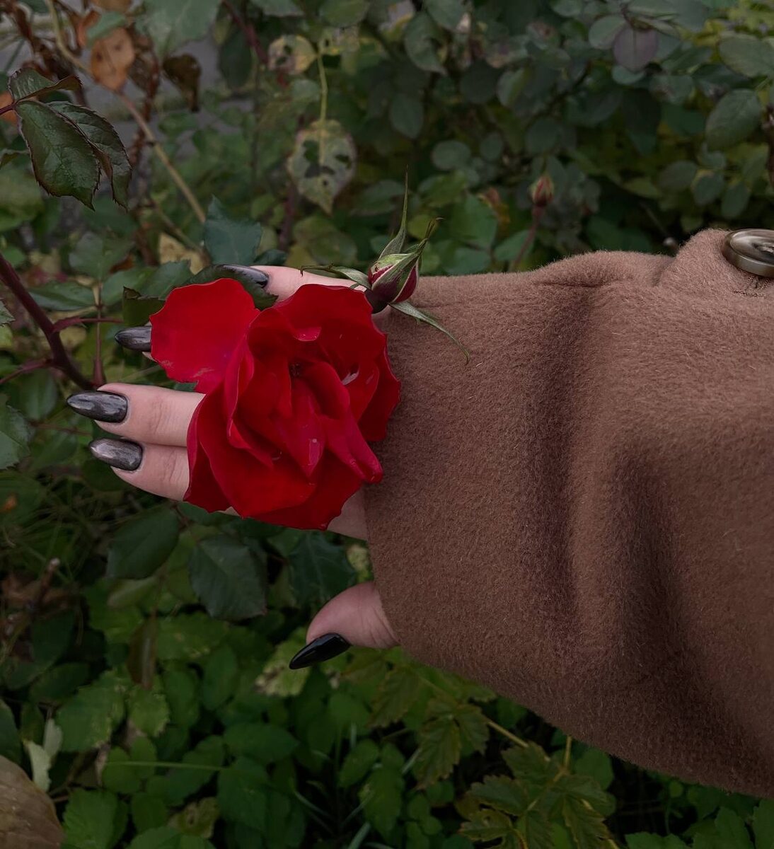 Очень красивая осень в этом году у меня