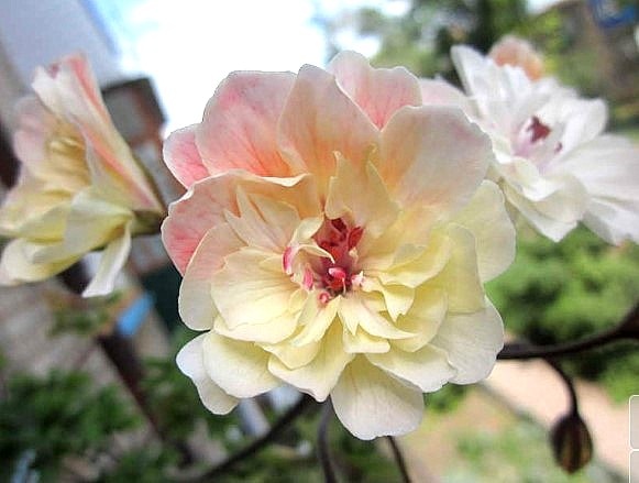 Вот она, эта красота!