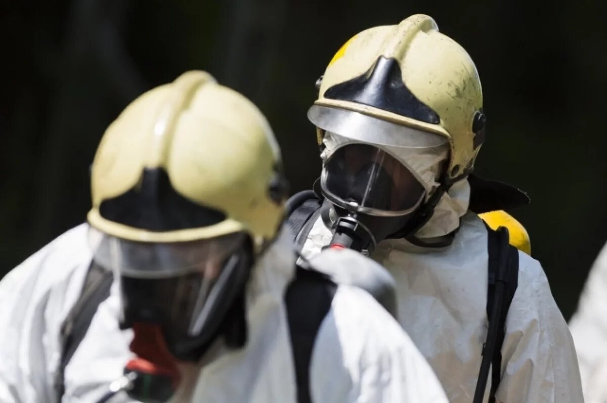    В Калининграде выявлены нарушения использования пестицидов и агрохимикатов