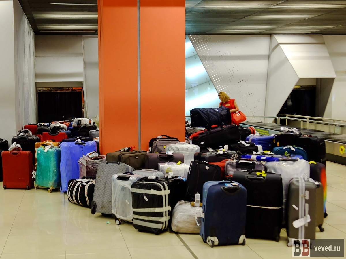     Фото: Владислав Постников / Вечерние ведомости