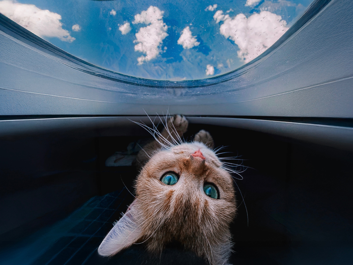 Так проходил первый полет Локи