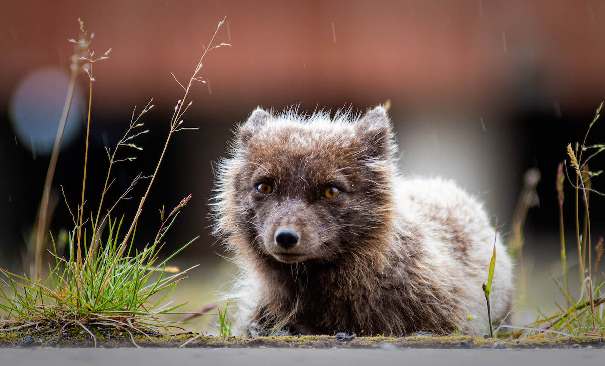 Фото: Александр Романовский / Фотобанк ПОРА