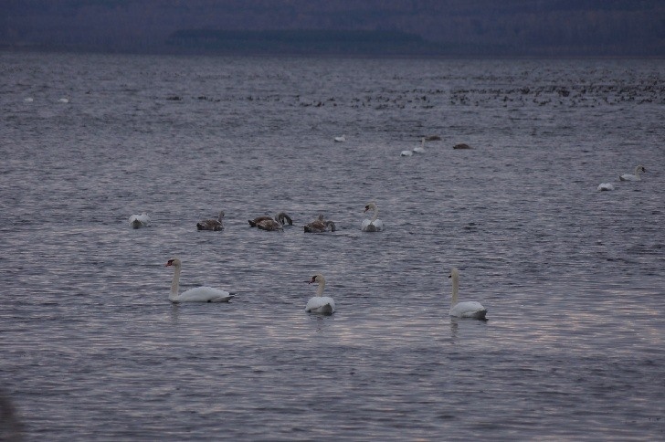    Фото: Природный парк "Кандры-Куль"