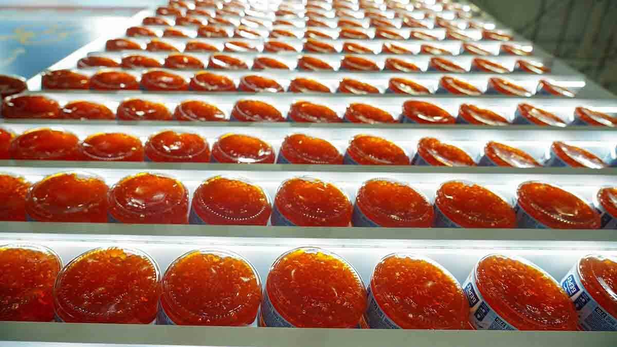    Фото: Александр Авилов / АГН Москва