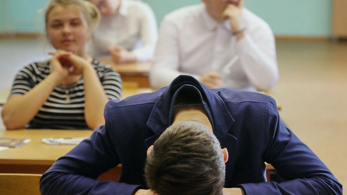 Как одолеть школьную программу за 11 лет и не выгореть?. Фото: Владимир Смирнов. ТАСС