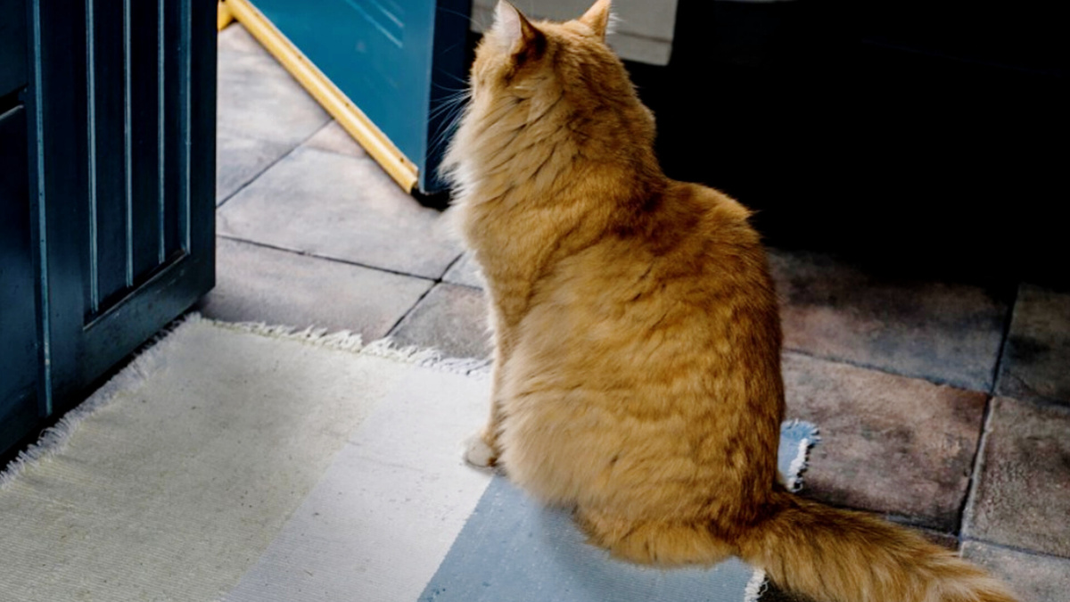 Может хочу выйти, а может и нет 