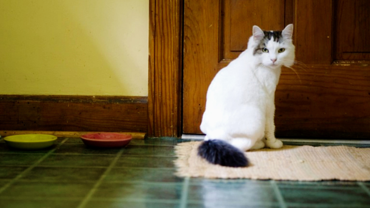 И долго я ждать буду?! 