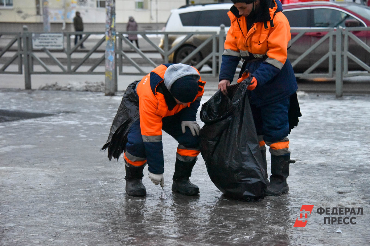 В регионе 23 октября ожидаются порывистый ветер и гололедица.  Фото: Фото: ФедералПресс / Полина Зиновьева