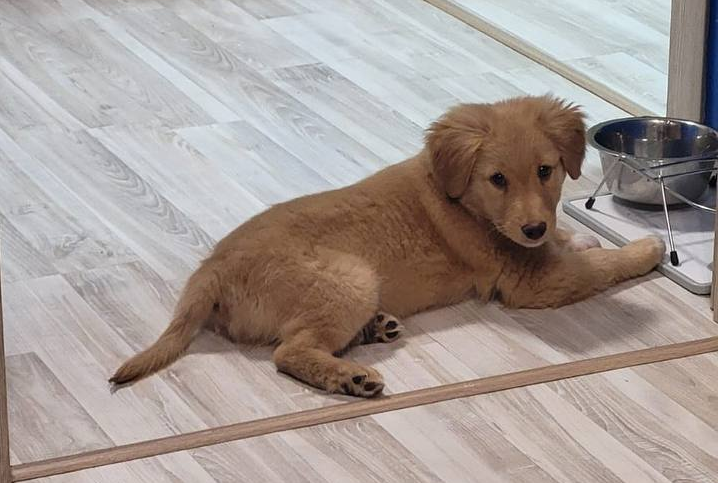     Фото из соцсетей