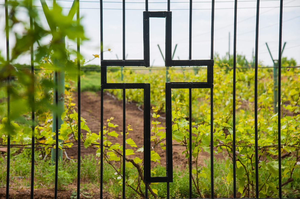 © Фото: ИД «Волгоградская правда» / архив