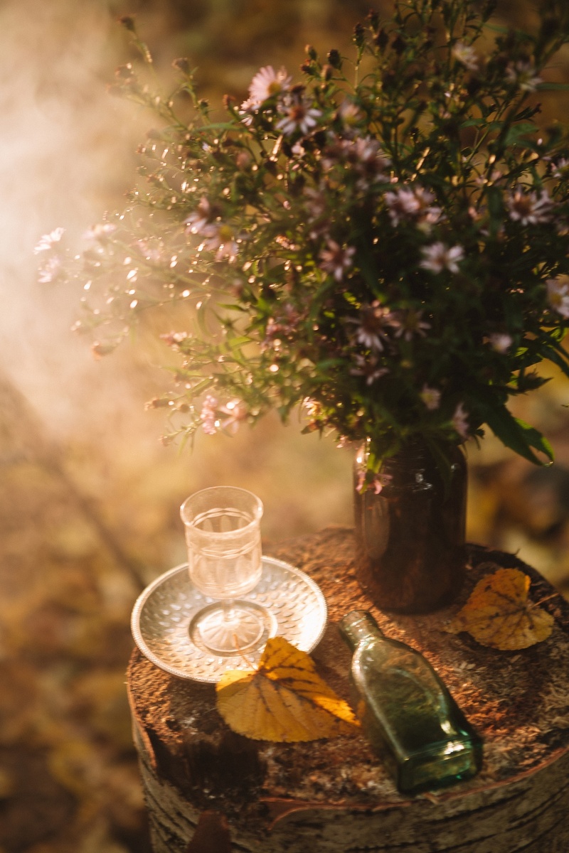 Фотограф Татьяна Кружкова