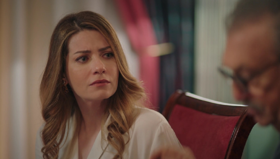 Кадр из сериала "Спрячь меня"