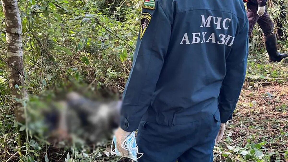   Министерство по чрезвычайным ситуациям Республики Абхазия