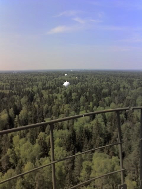 Фото из ВК: https://vk.com/album-25883679_132145490