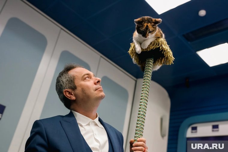     Сын Юрия Куклачева - Дмитрий приедет в Челябинск со своим шоу кошек