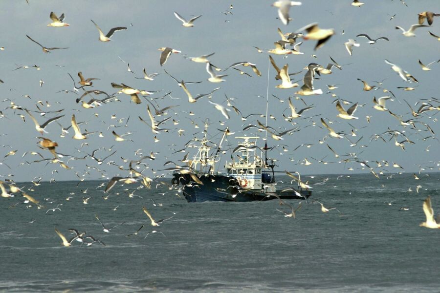     / Источник: © Владимир Федоренко/РИА Новости