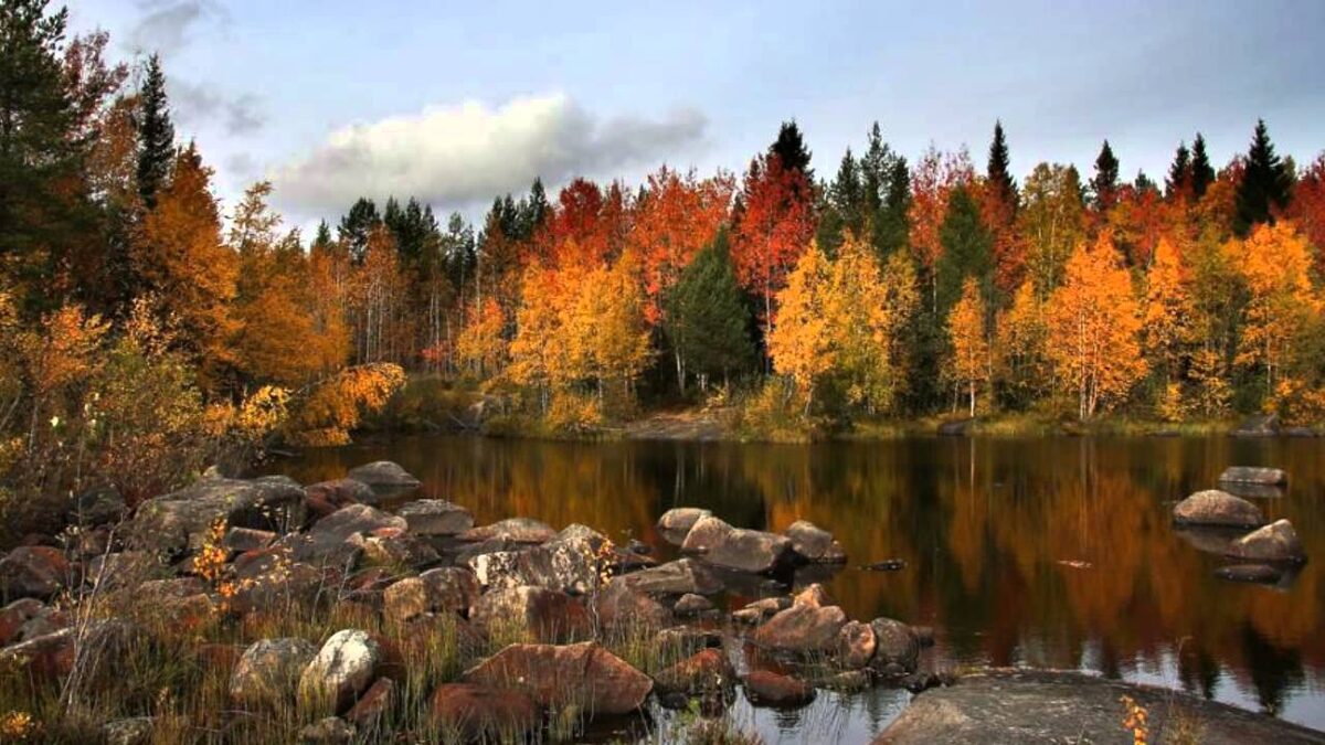 фото из интернета