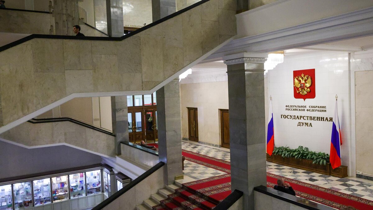    Фото: Shatokhina Natalia/news.ru