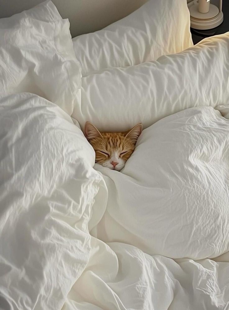 Вот так спала, ей-богу. Картинка из Pinterest.