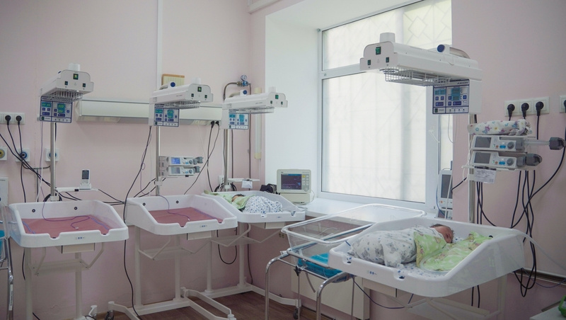      Фото: Александр Скрыпник / / ИА «Победа26»