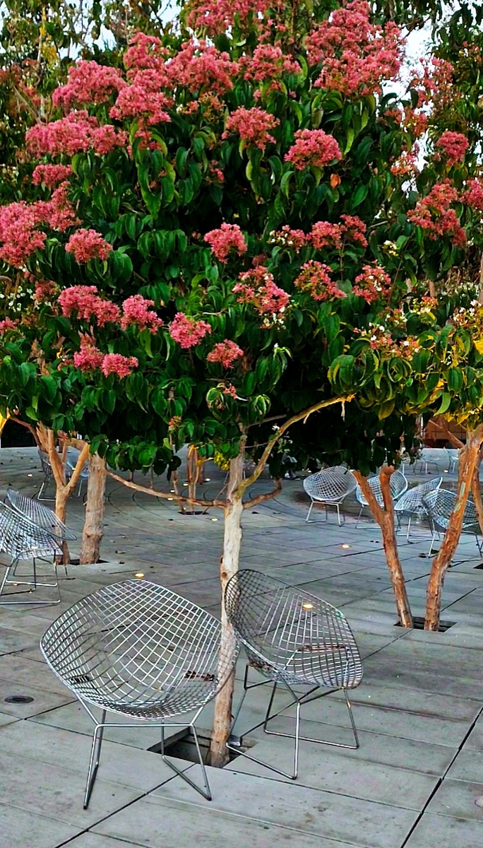 🌿💚🌿💚🌿💚🌿