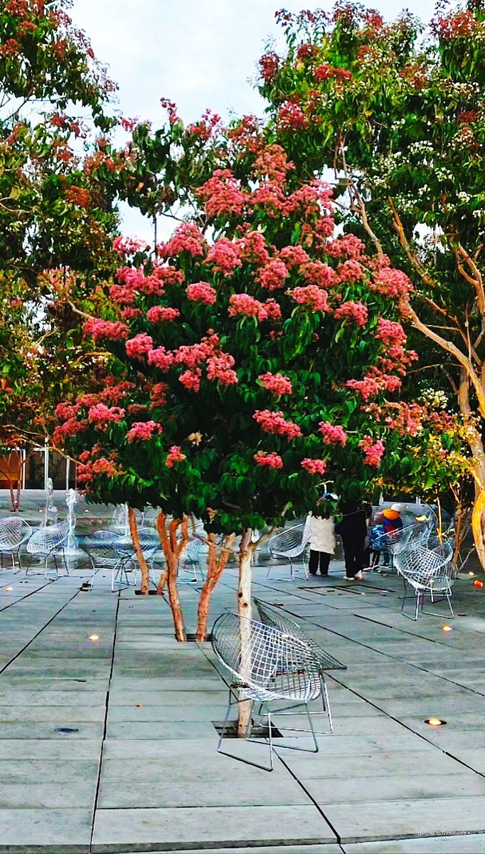 🌿💚🌿💚🌿💚🌿