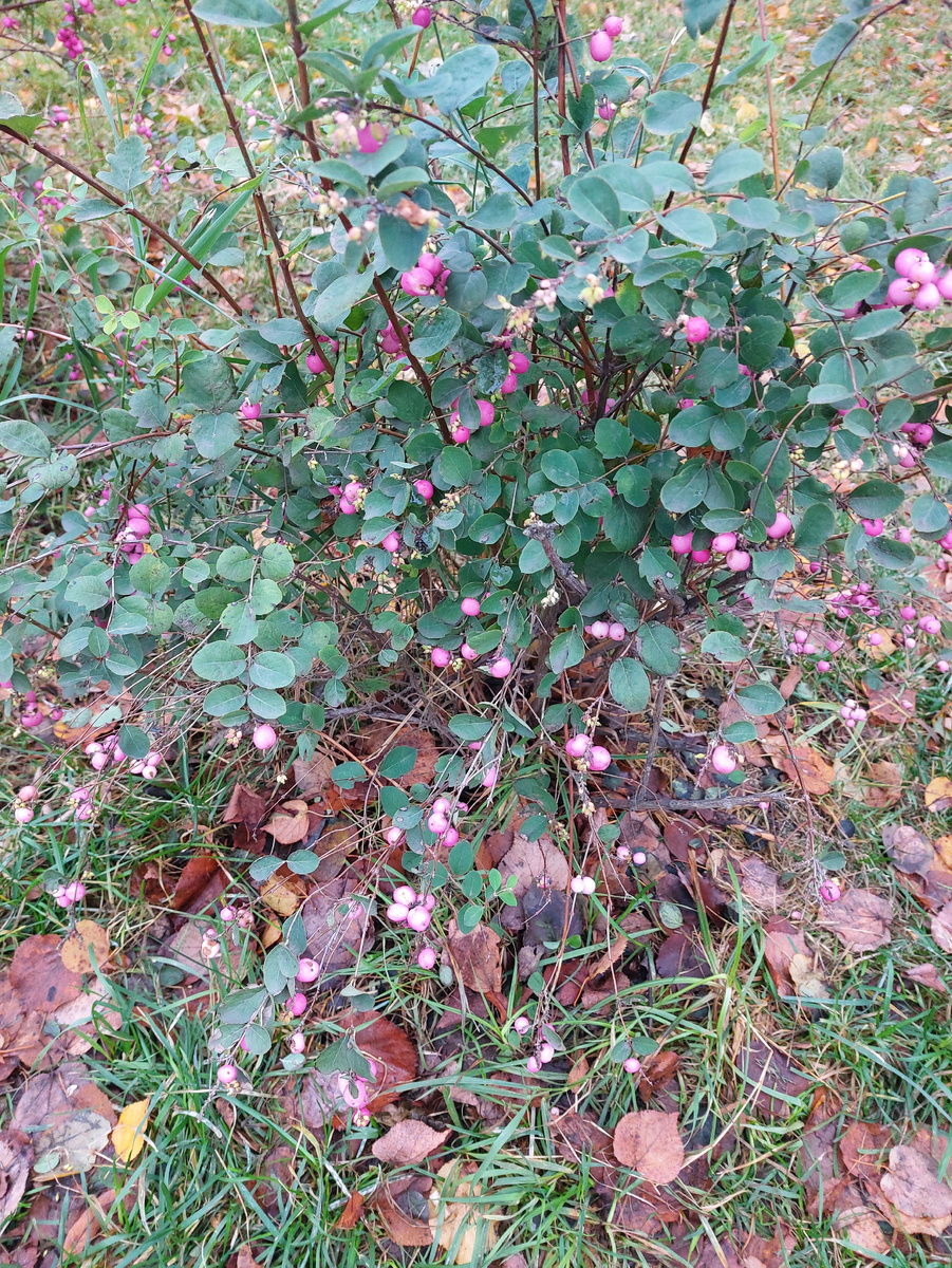 Фото автора статьи