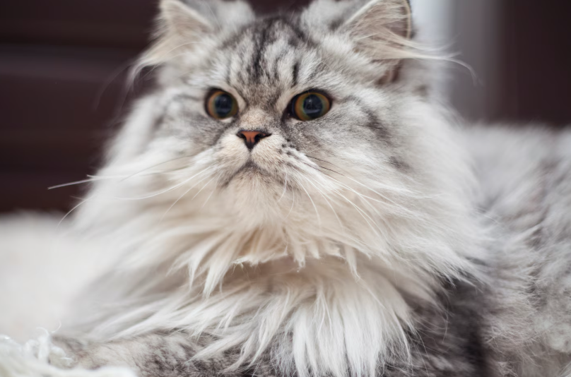 Фото с www.freepik.com 