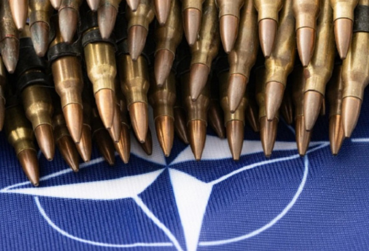 фото: pxhere.com