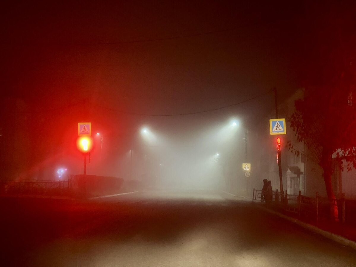 Похоже на фильм ужасов... или на игру "Растения против зомби"