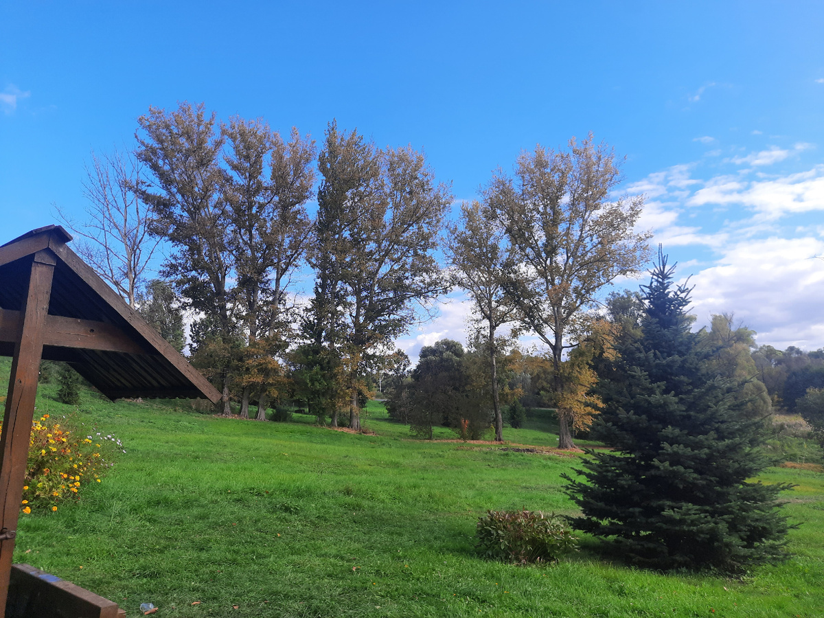 Ухоженнная лужайка.