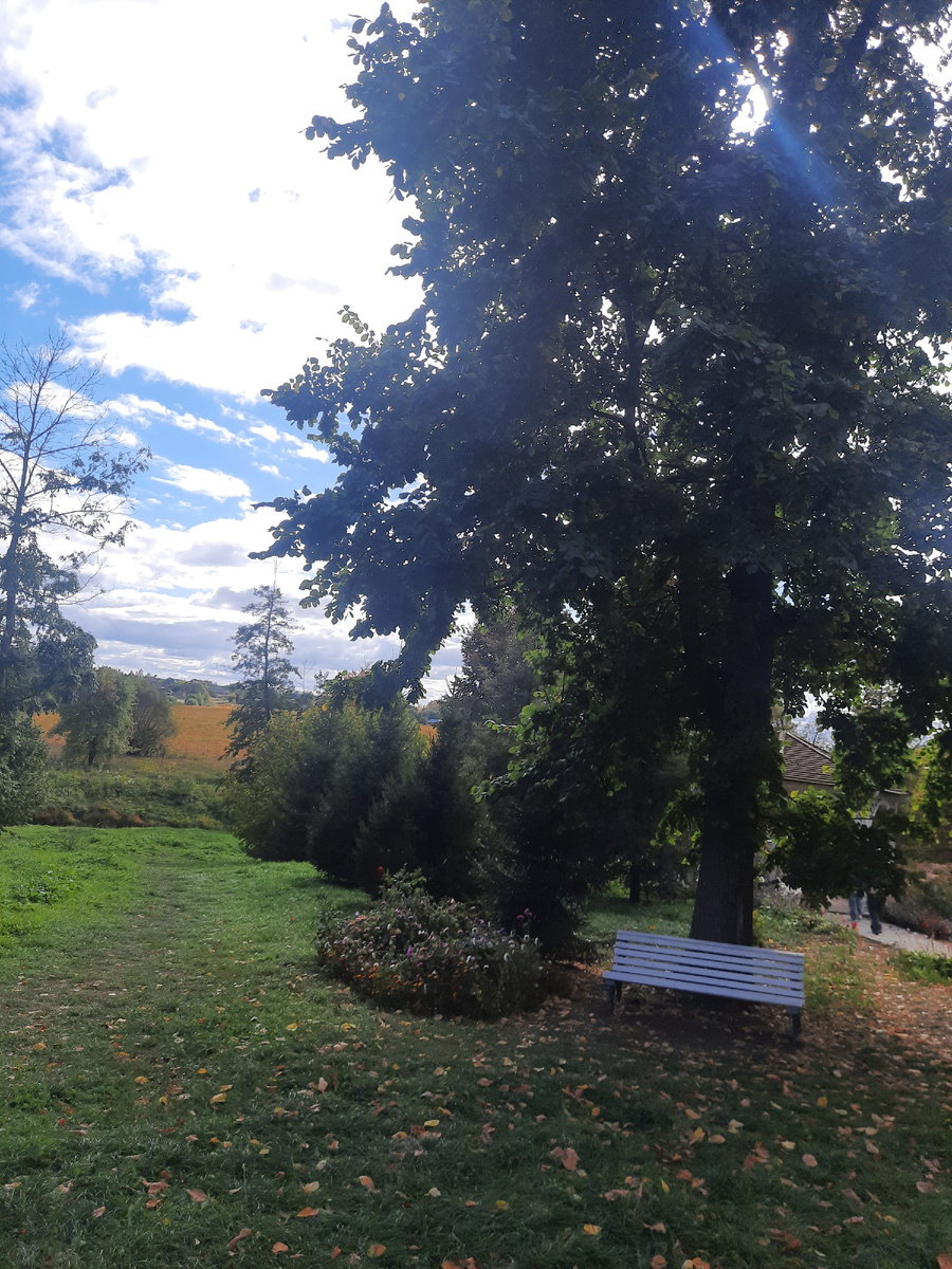 Виды усадьбы А.А. Фета. Скамеек много повсюду, можно сидеть и думать о вечном. И любоваться природой.