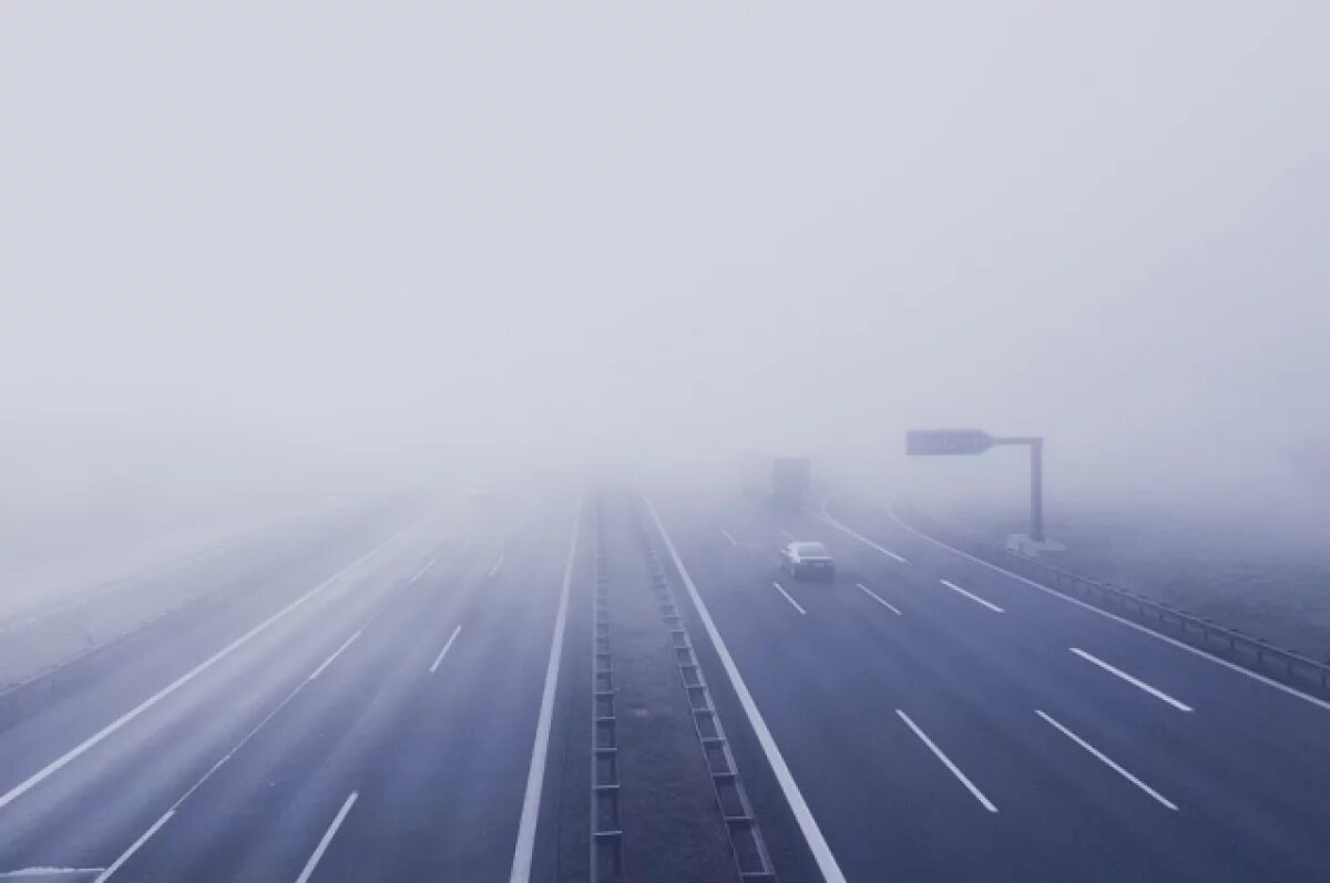    Туман накроет Владимирскую область: ограничения на дорогах