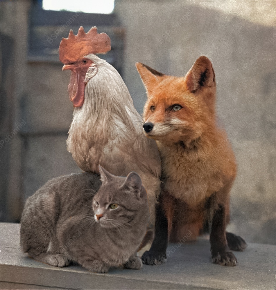 Автор: А. Анжанов