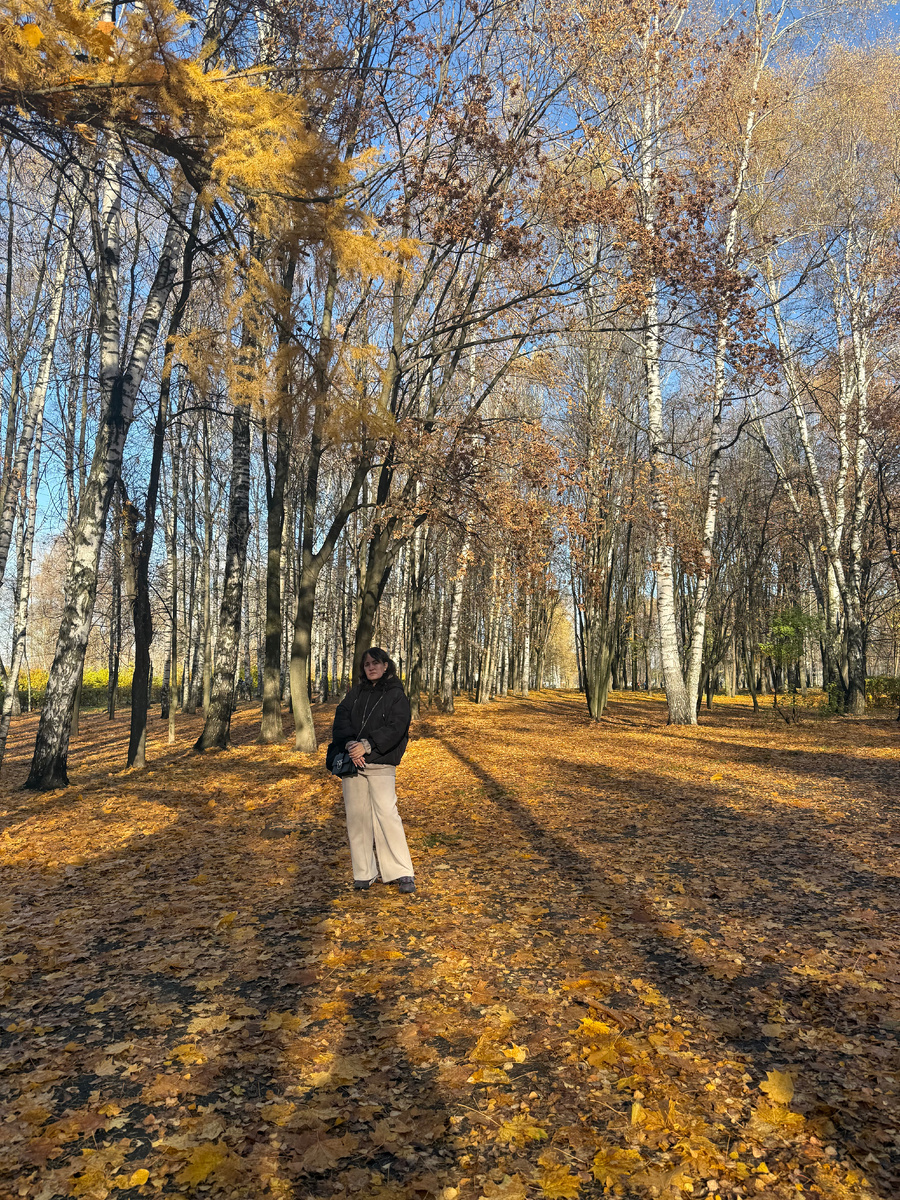 Отличное место для осенних фотосетов. Золотая листва в солнечном свете.