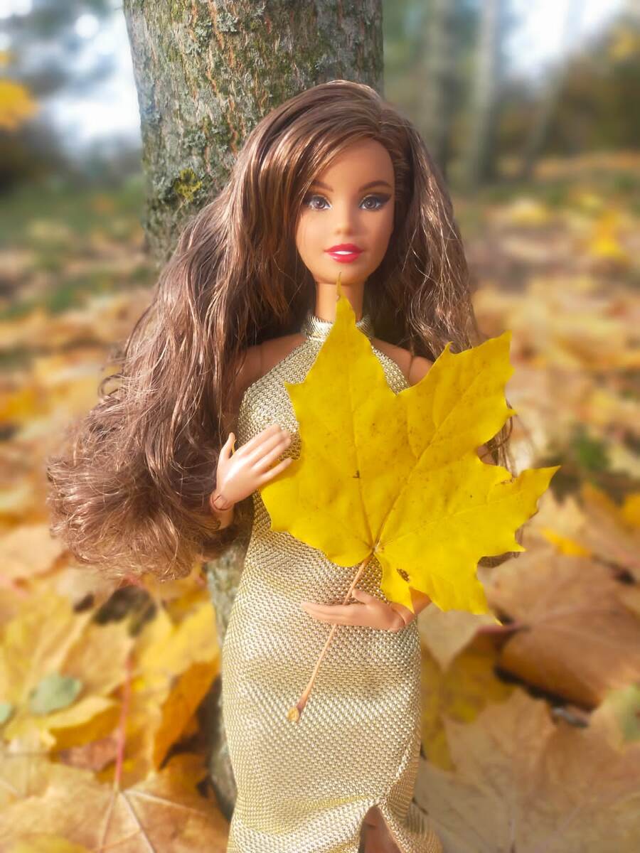 Барби Холидей 2022 г приглашает всех полюбоваться вместе с ней осенним листопадом. Фото автора 