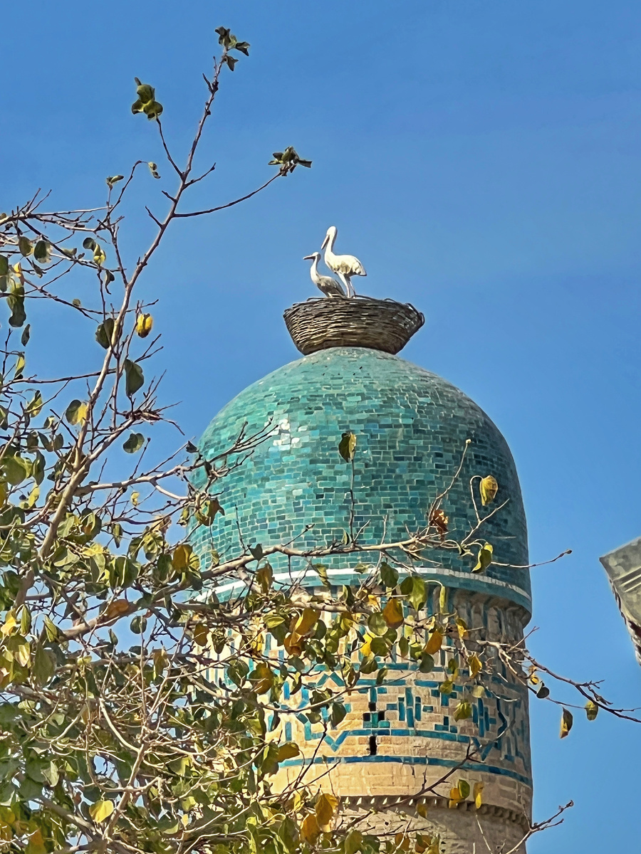 Медресе Чор-Минор, Бухара. Фото автора