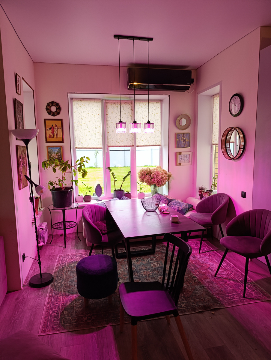 Начало моего пути в растениеводстве. Лампа вкручены. Растения закуплены.