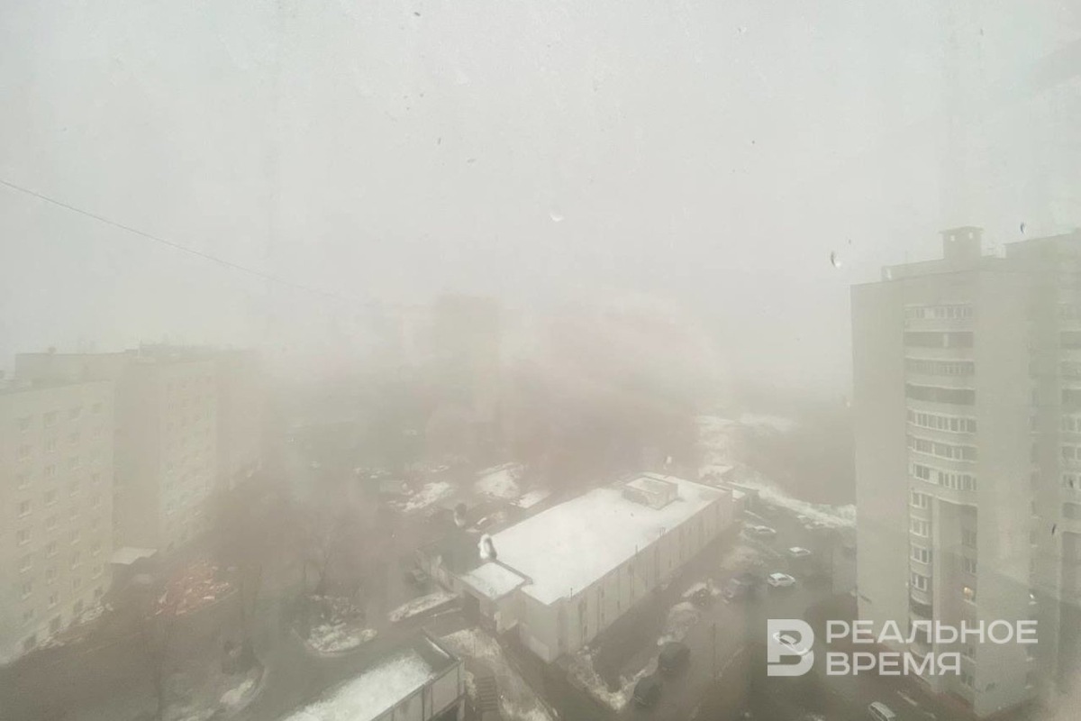   Реальное время / realnoevremya.ru