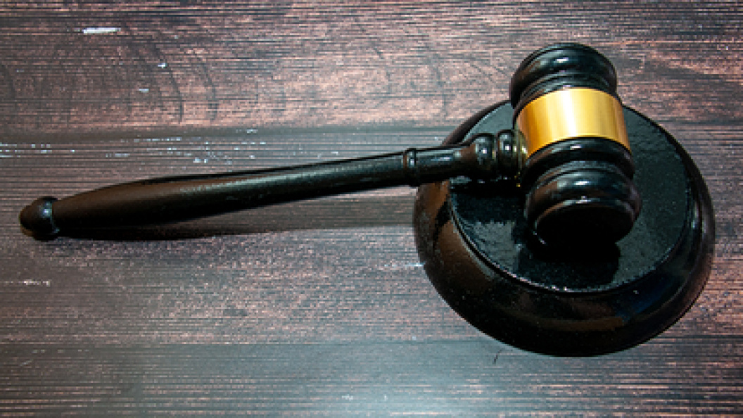    Svetlana Vozmilova/Globallookpress