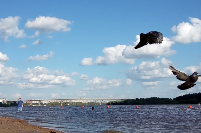    Переизбыток водных ресурсов в Сибири, особенно в Обь-Иртышском бассейне условен. Фото: АиФ/ Елена Табакаева