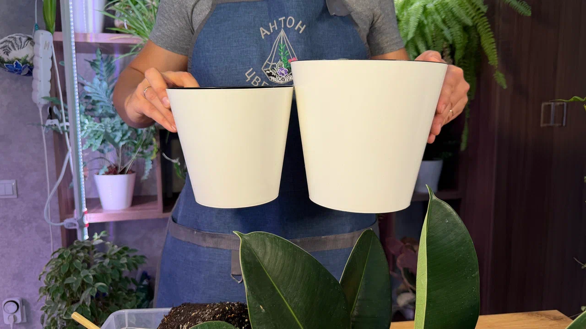 Удобнее покупать горшки одной серии, но разного объёма - как раз потом при пересадке получается то, что нужно в плане размера